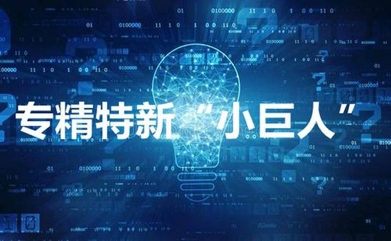 “專精特新”引領(lǐng)，持續(xù)輝煌征程！欣立電器榮獲***“專精特新”小巨人企業(yè)稱號(hào)